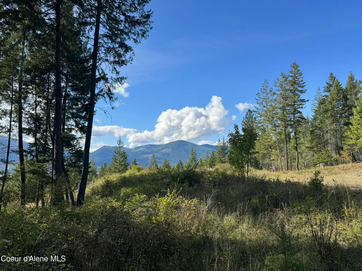 NNA Bootlegger Lane - Stein Mtn, Bonners Ferry, ID 83805 - Image #1