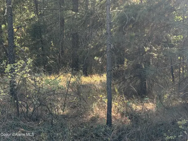 NNA Gray Eagle, Rathdrum, ID 83858