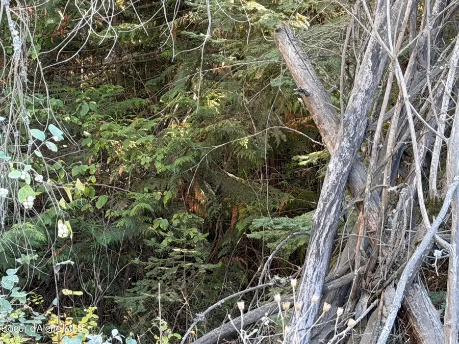 NNA Gray Eagle, Rathdrum, ID 83858 - #3