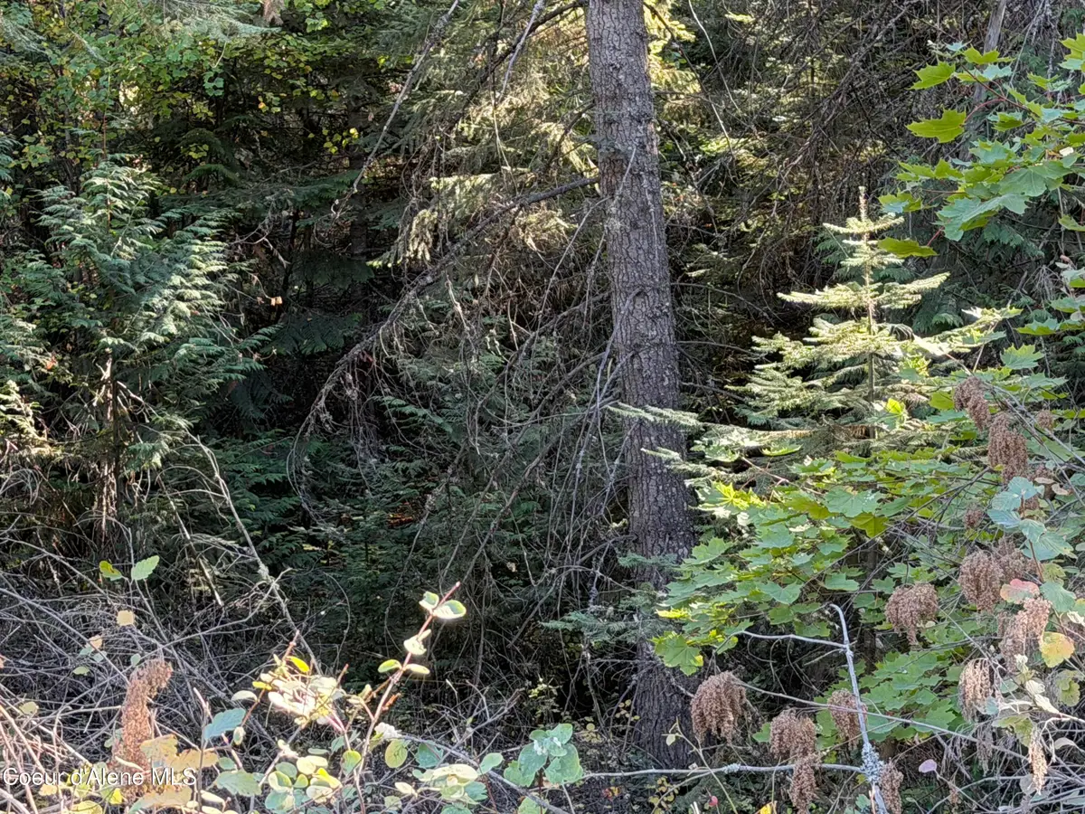 NNA Gray Eagle LT 3, Rathdrum, ID 83858 - #1