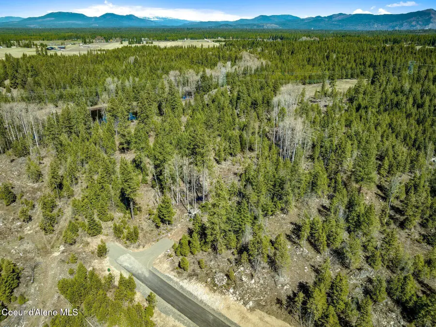 NKA Dickens Rd (Lot 3), Athol, ID 83801 - #3