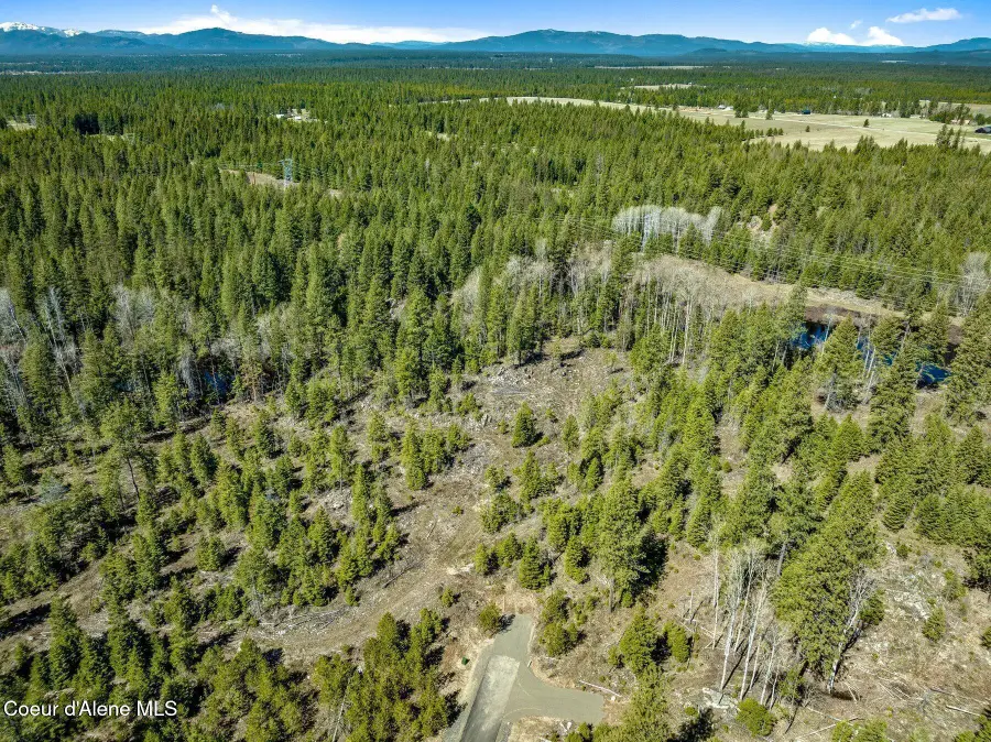 NKA Dickens Rd (Lot 8), Athol, ID 83801 - #2
