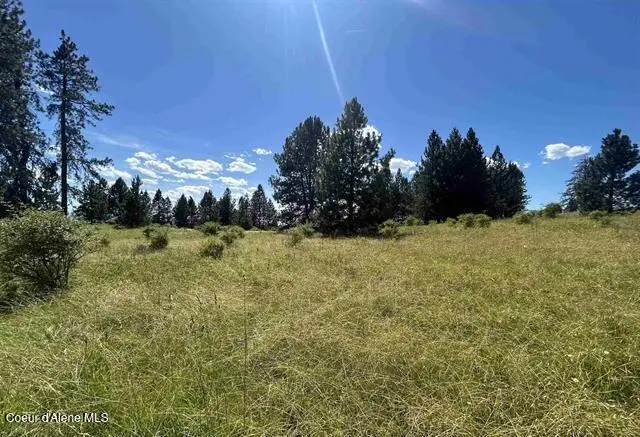 TBD Parcel 1 Too Kush Rd, Kooskia, ID 83539 - #3