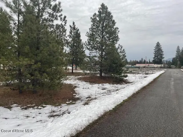 29269 N OLD HIGHWAY 95, Athol, ID 83801 - #1