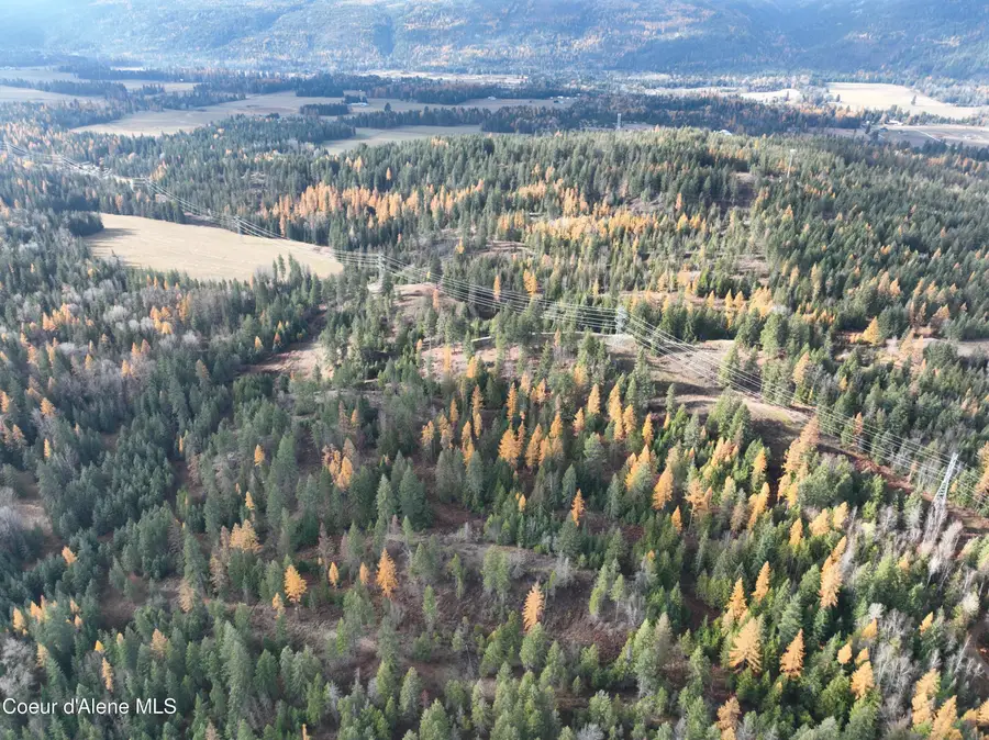 NKA Snowberry Lane, Sandpoint, ID 83864 - #2