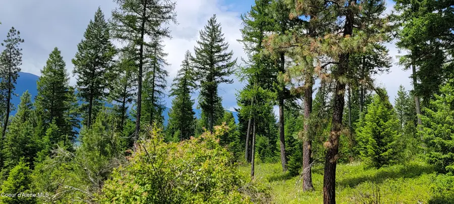 NNA Continental Lane-Parcel 4, Bonners Ferry, ID 83805 - #3