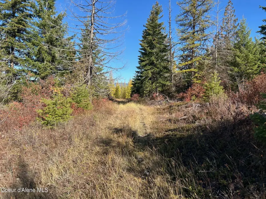 Tract B USFS 2222A, Moyie Springs, ID 83845 - Image #3