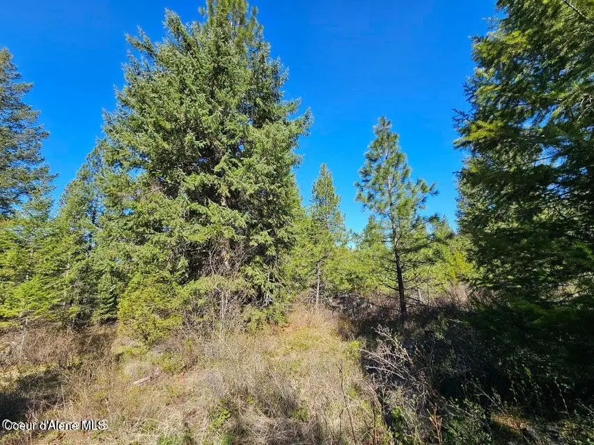 NNA Sunset Hill Rd, Athol, ID 83801 - #3