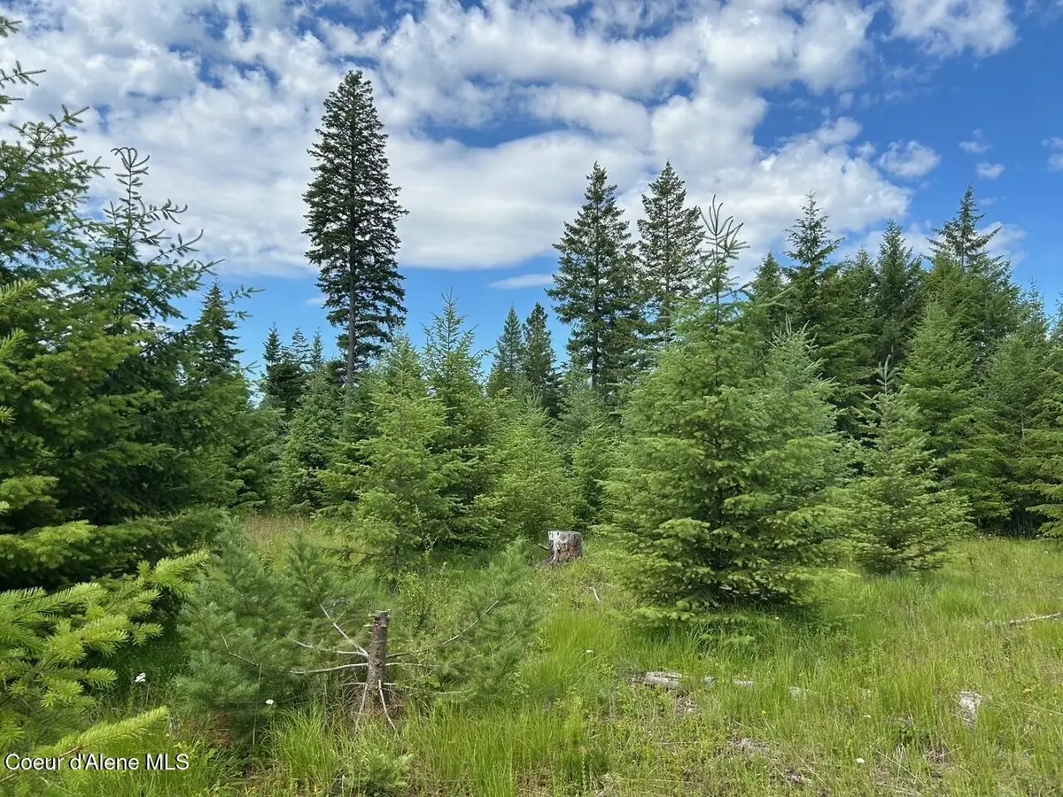 Tract C USFS 2222A, Moyie Springs, ID 83845 - #1