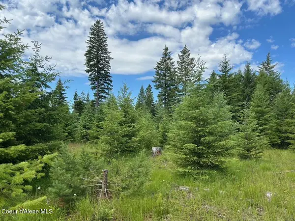 Tract C USFS 2222A, Moyie Springs, ID 83845