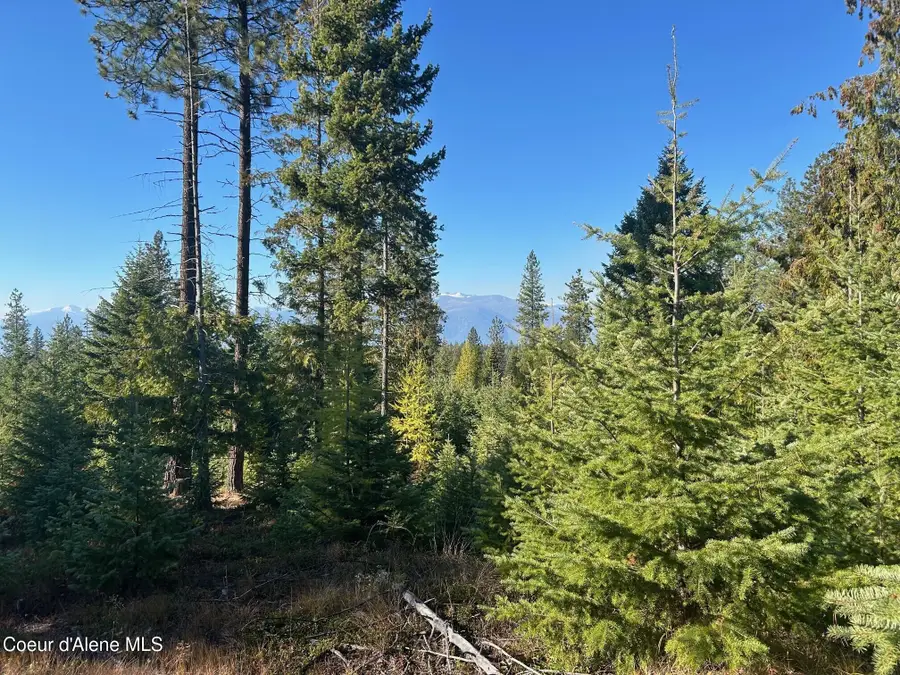 Tract C USFS 2222A, Moyie Springs, ID 83845 - #3