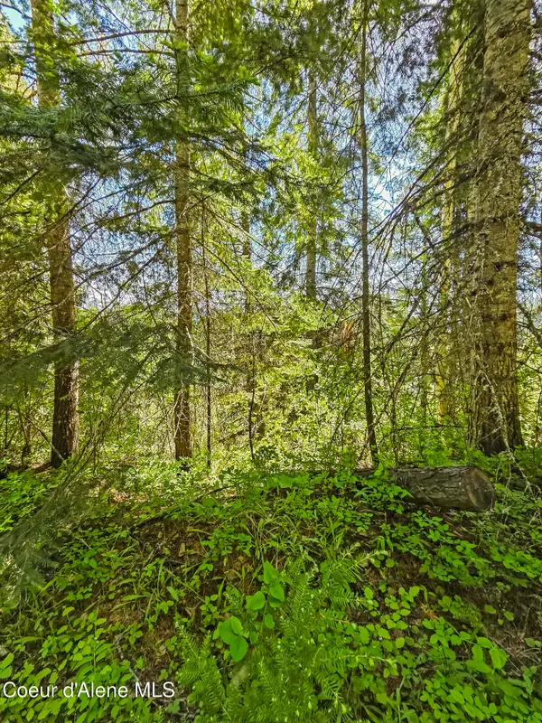 Nna Tanglewood 4.92 acres, Priest River, ID 83856