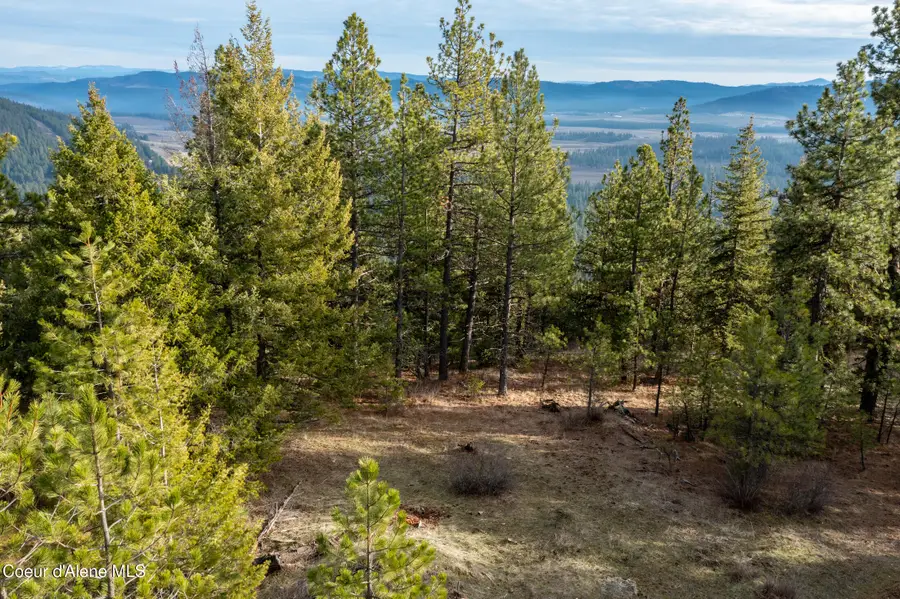 LOT 3, Worley, ID 83876 - #3