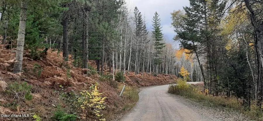 2 Parcels Alhambra Rd, Kellogg, ID 83837 - #2