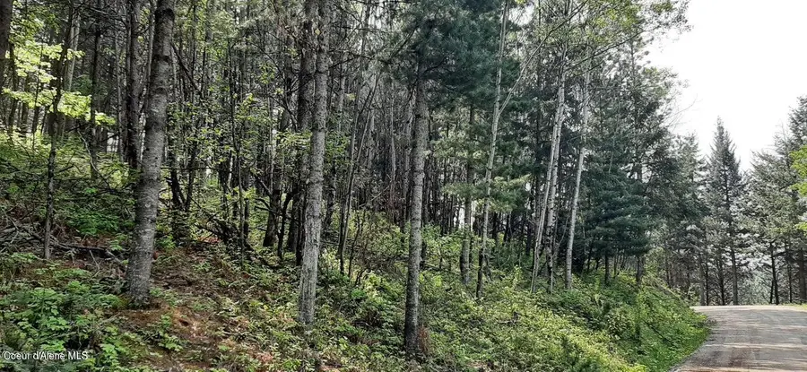 2 Parcels Alhambra Rd, Kellogg, ID 83837 - #3