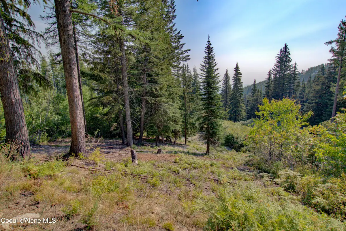 Blk4 Lot4 Ullr Dr, Sandpoint, ID 83864 - #1