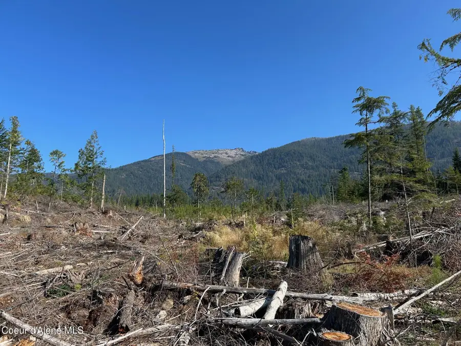 Tract 7 USFS 2294, Clark Fork, ID 83811 - #2