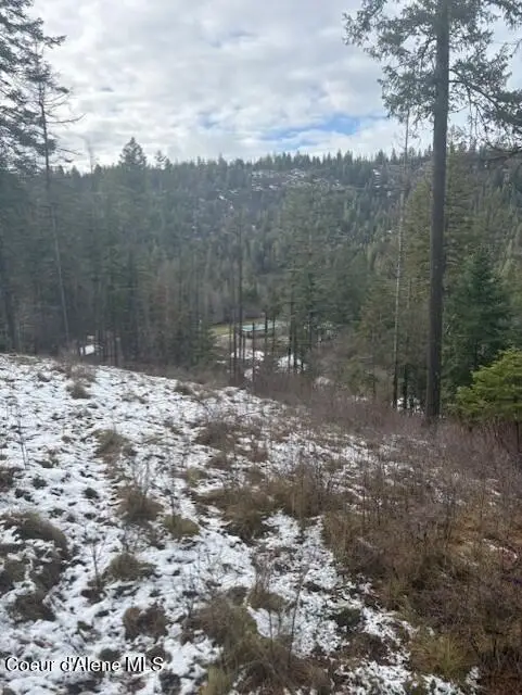 NKA S Hinds Dr Lots 10 & 11, Saint Maries, ID 83861 - #2