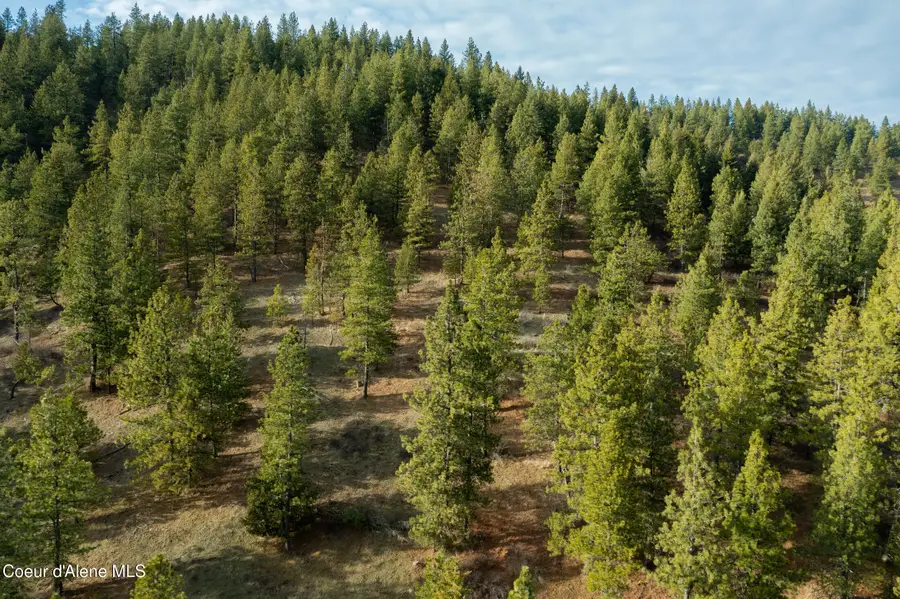 NKA 15 acres, Worley, ID 83876 - #3