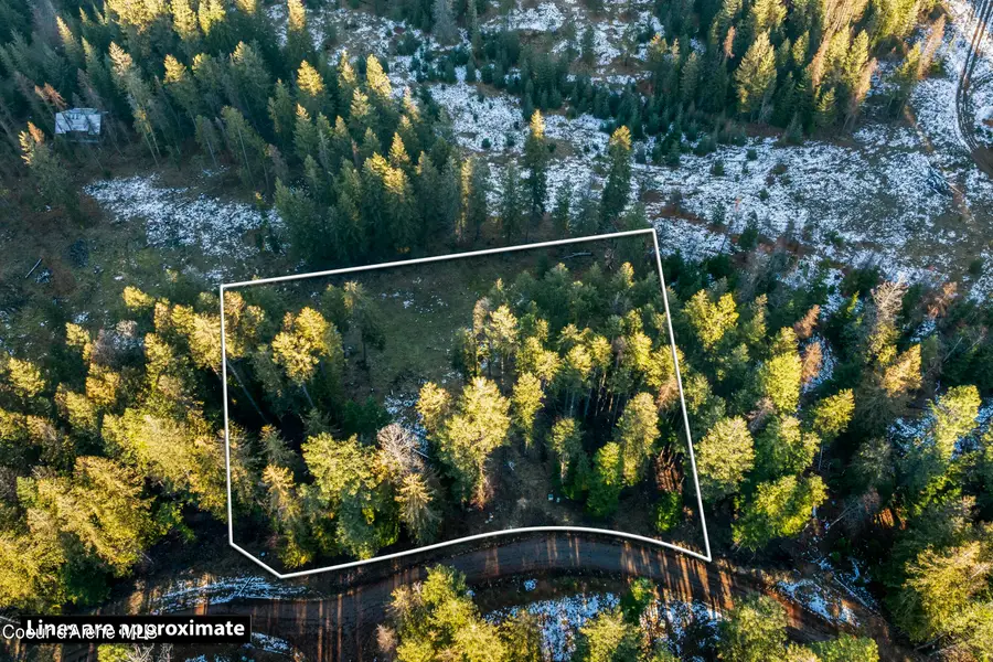 Blk1Lot3 Sasha Point, Hope, ID 83836 - #2