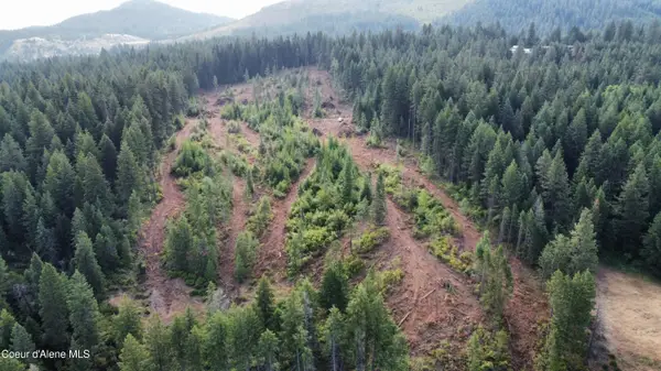 NKA Trinity lane, St. Maries, ID 83861