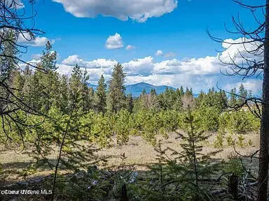 0 Rambling Rose, Post Falls, ID 83854 - #2