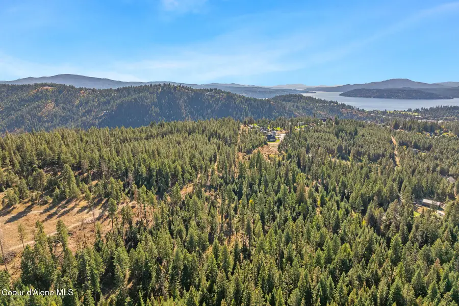 Frosty Pines Estates Lot 3, Coeur Dalene, ID 83814 - #3