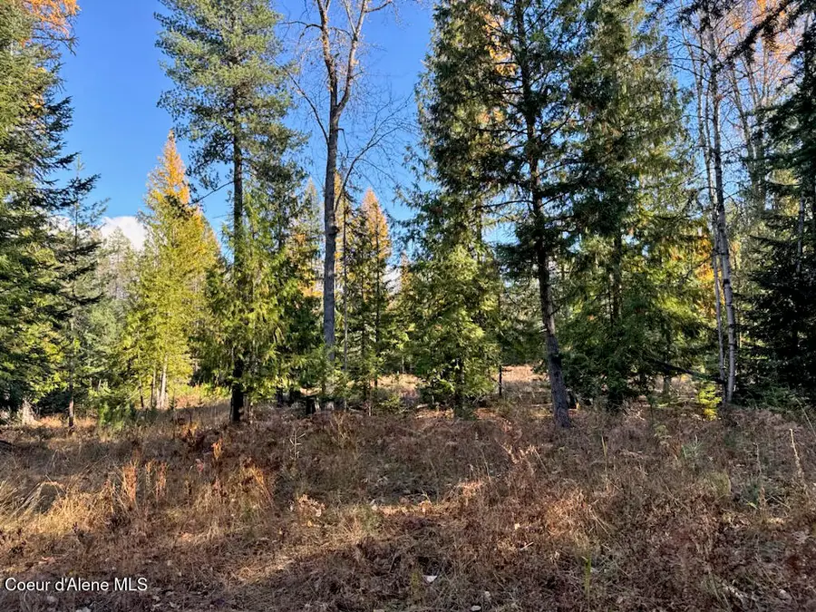 NNA Selkirk Rd, Sandpoint, ID 83864 - #3