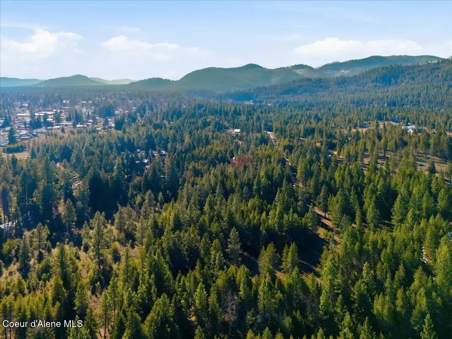 33482 N Charlotte DR, Spirit Lake, ID 83869 - #3