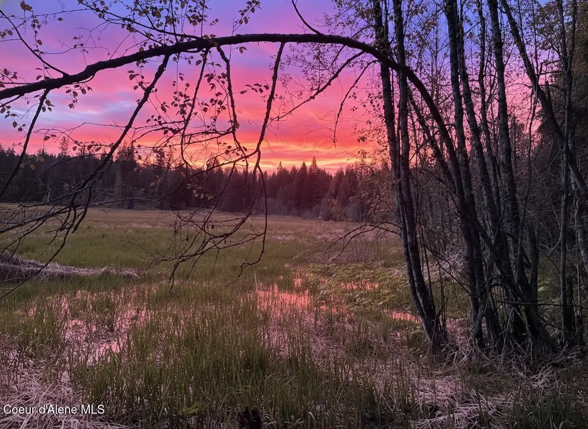 NNA High Meadow Drive, Priest River, ID 83856 - #1