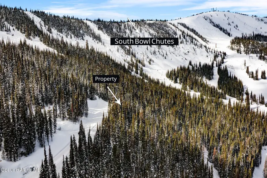 752 Tall Timber Rd, Sandpoint, ID 83864 - #2