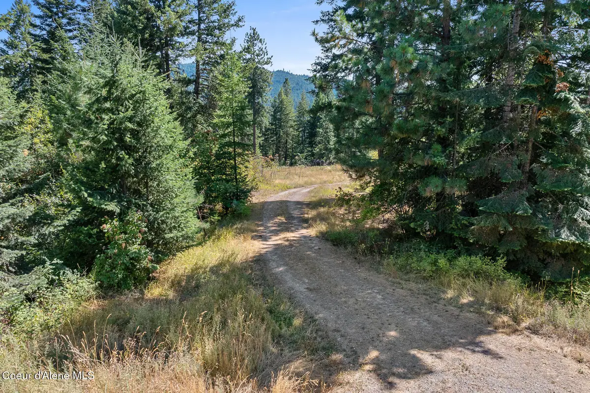 Lot 4 FSR 439, Harrison, ID 83833 - #1