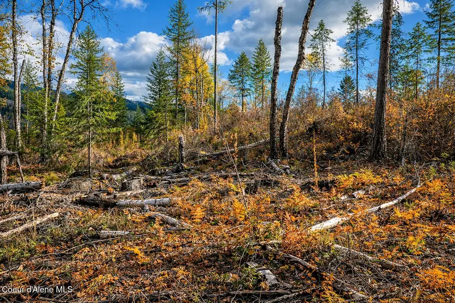 Parcel 1 Crosswhite Rd, Careywood, ID 83809 - #2