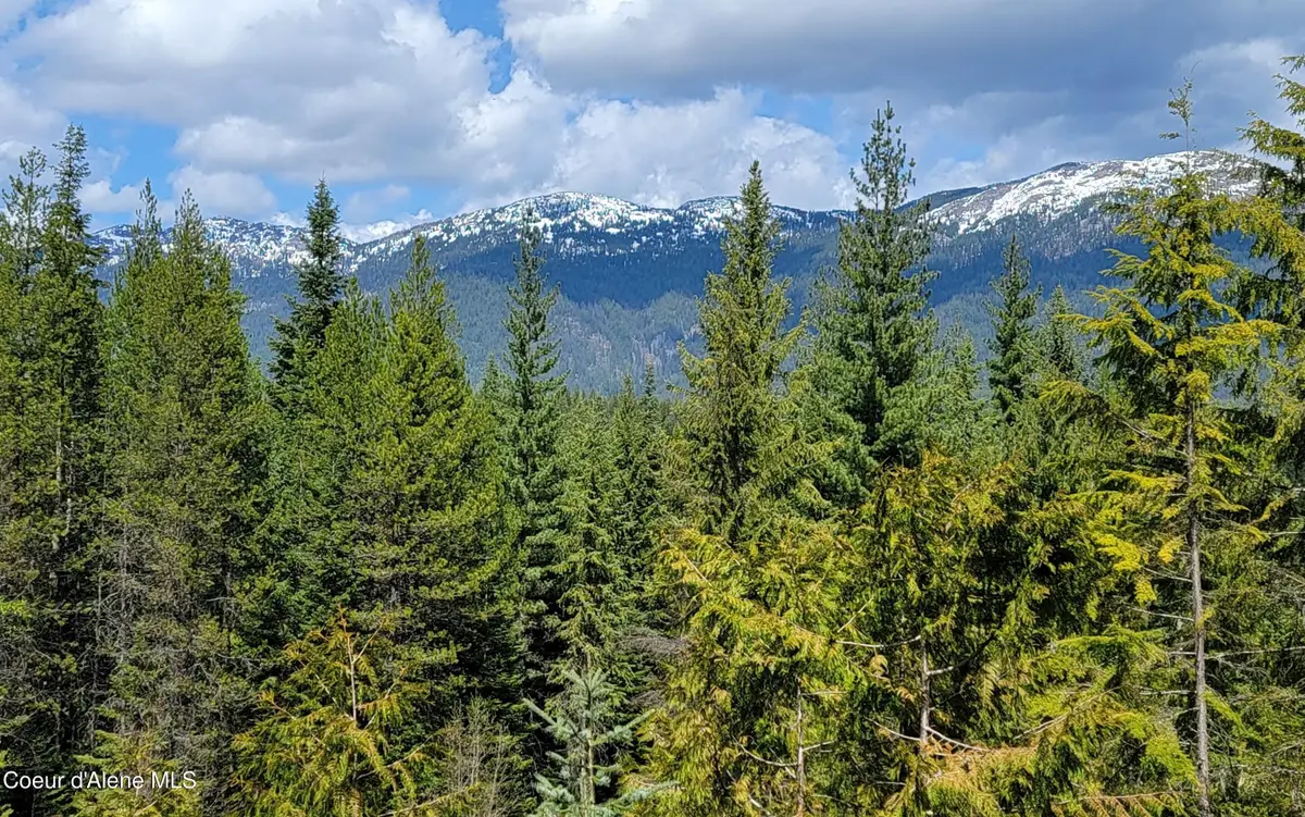 NNA Enchanted Lane #3, Moyie Springs, ID 83845 - #1