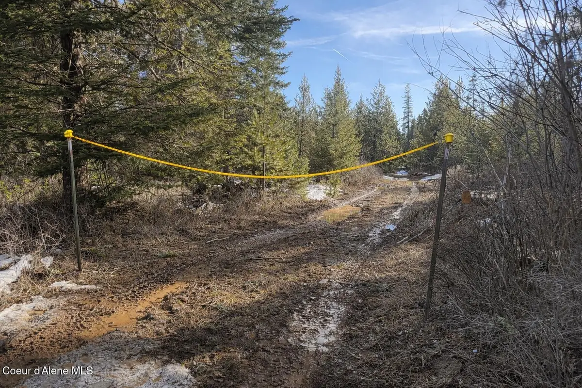 170 Buckeye Ln, Saint Maries, ID 83861 - #1