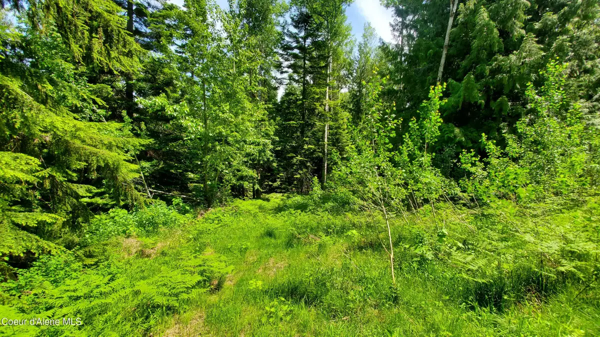 NKA Baum Rd., Saint Maries, ID 83861 - #1