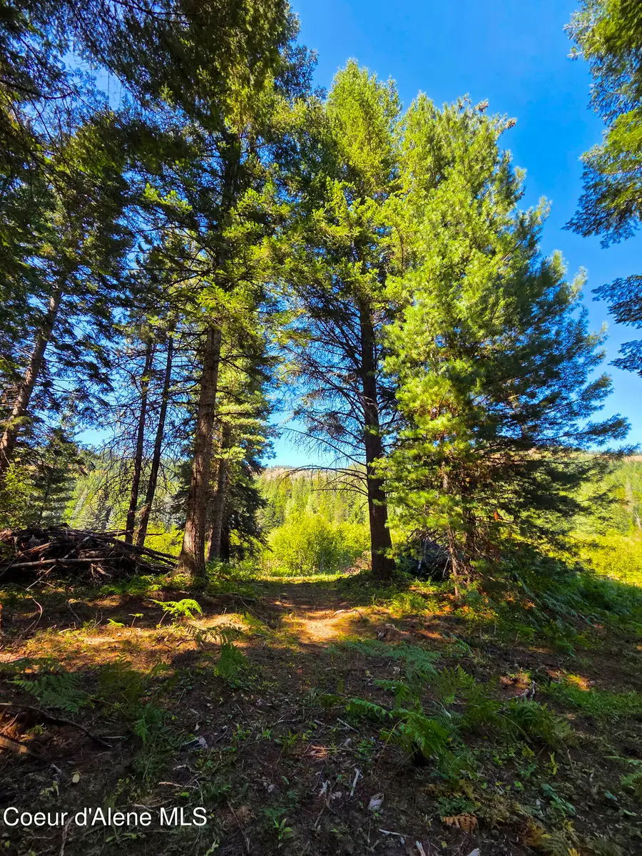 NNA Pup Paw Trail, Priest River, ID 83856 - #3