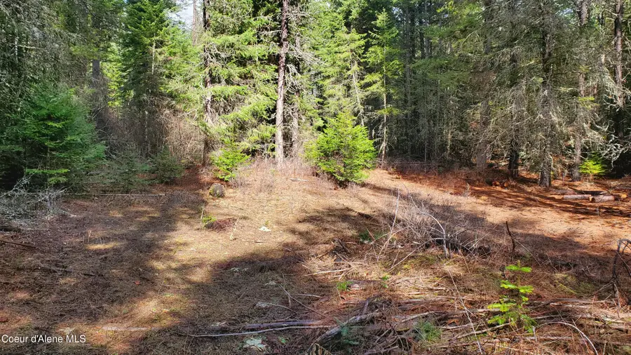 NKA Collins Road, Athol, ID 83801 - #2