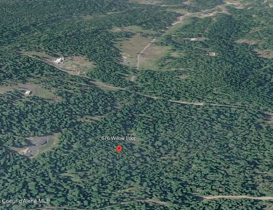 676 Willow Loop, Fernwood, ID 83830 - #2