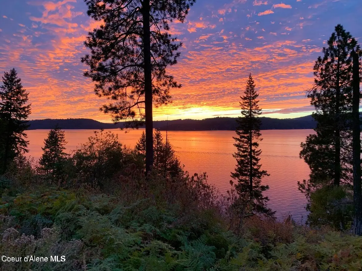 19695 S Headlands Dr, Harrison, ID 83833 - #1