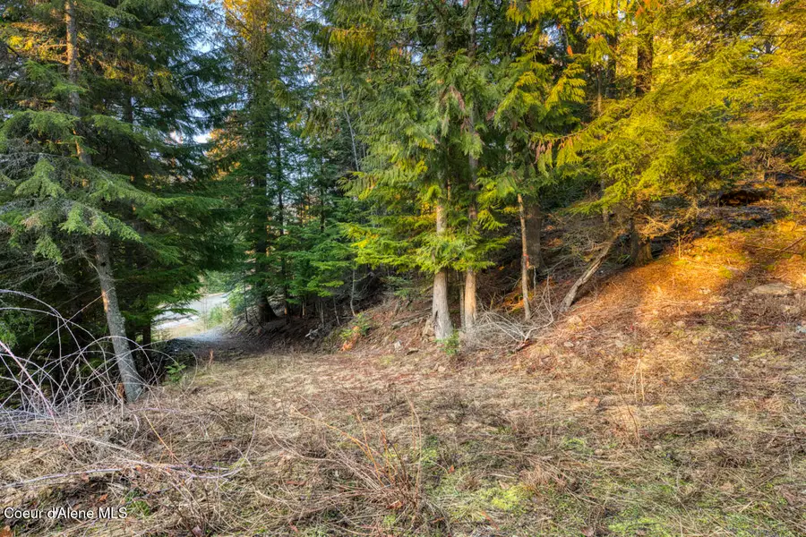 NNA White Cloud, Sandpoint, ID 83864 - #2