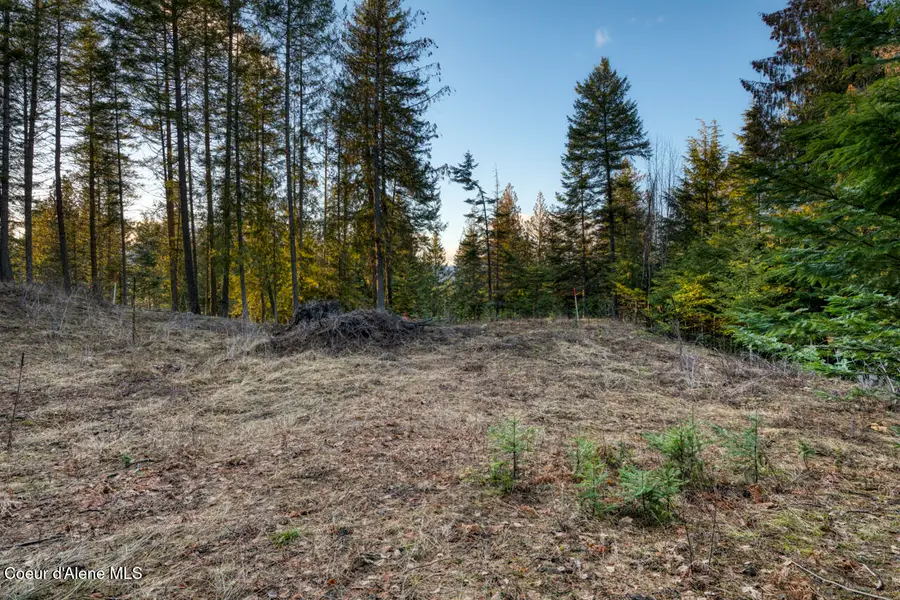 NNA White Cloud, Sandpoint, ID 83864 - #3