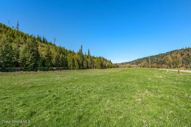 28 Horn Hooked Ln, Saint Maries, ID 83861 - #3