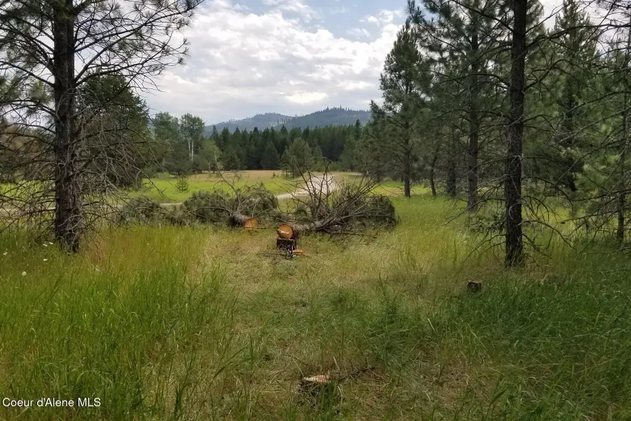 NNA Ponderesa Ranch Rd, Sagle, ID 83860 - #2
