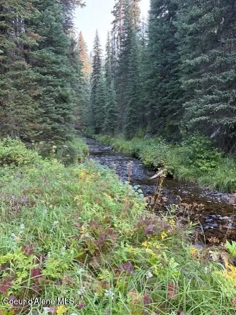 NW 80-AC Pack Creek Road, Unincorporated, ID 83525 - #3
