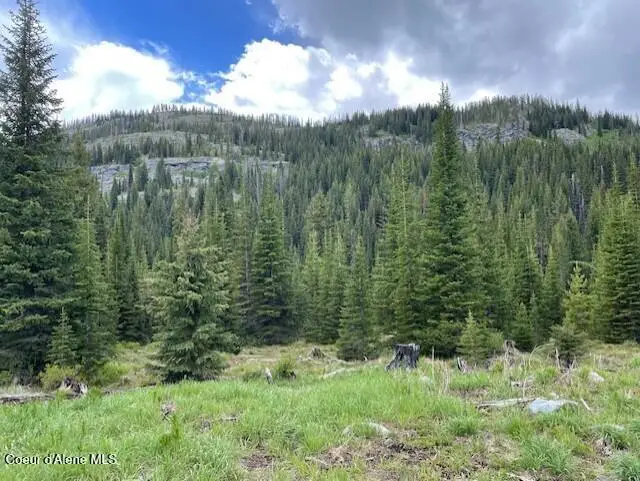 NKA 640 AC Shoot Creek Road, Elk City, ID 83525 - #2