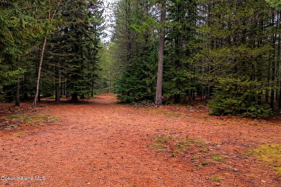 250 Chief Joseph LN, Sandpoint, ID 83864 - #3