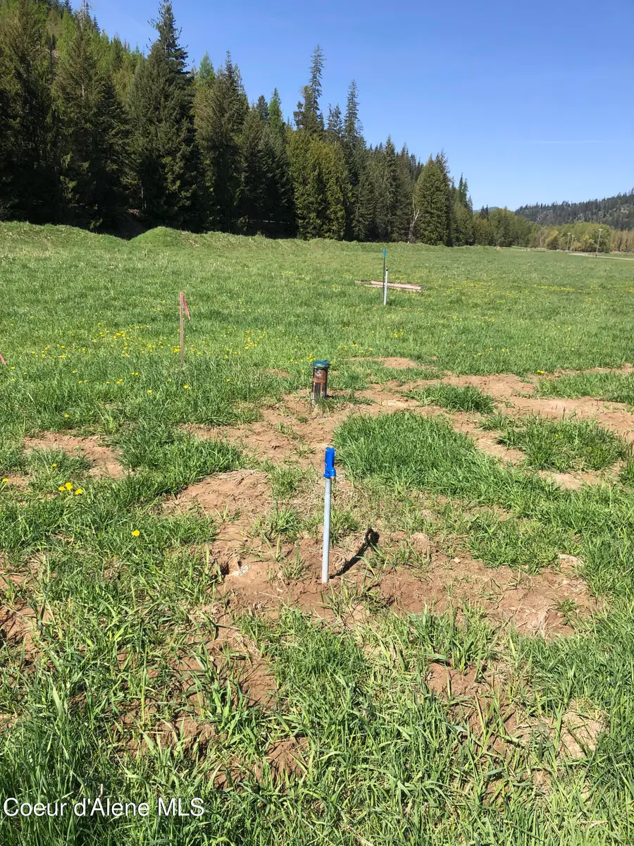 L7 Horn Hooked Estates, Saint Maries, ID 83861 - #3