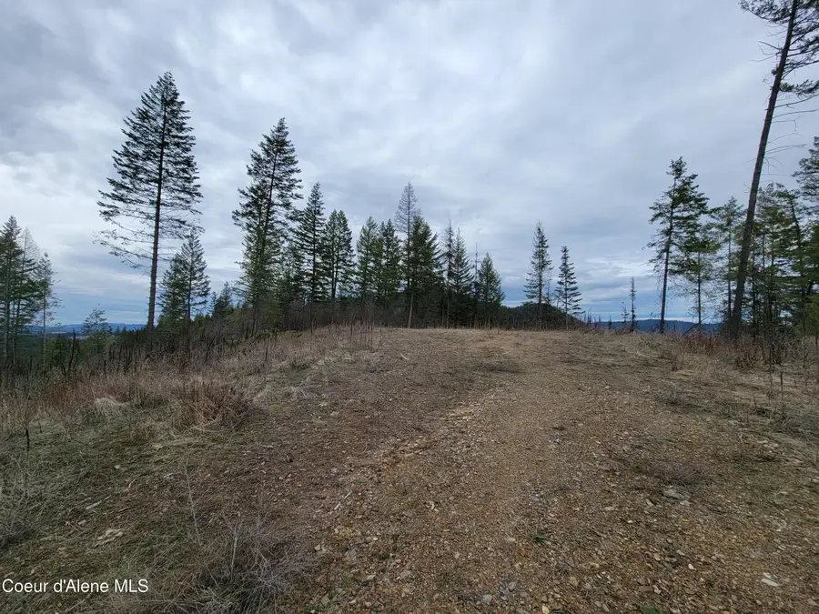 Parcel A Lamb Rd Rd, Harrison, ID 83833 - #2