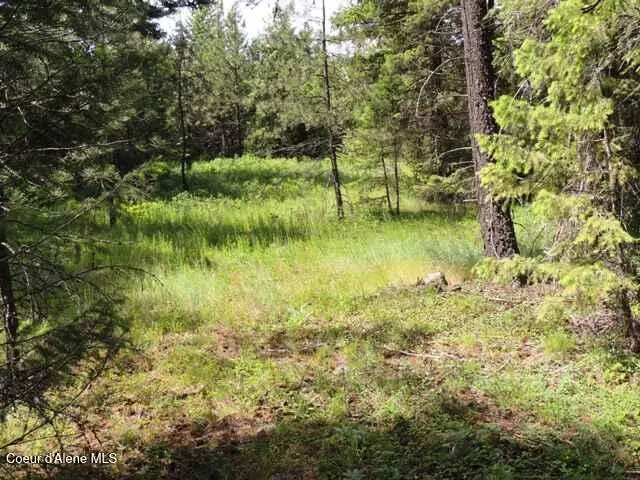 NKA Antler LN, Spirit Lake, ID 83869 - #1
